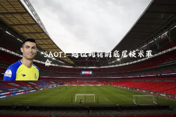 SAOT:越位判罚的底层技术革命